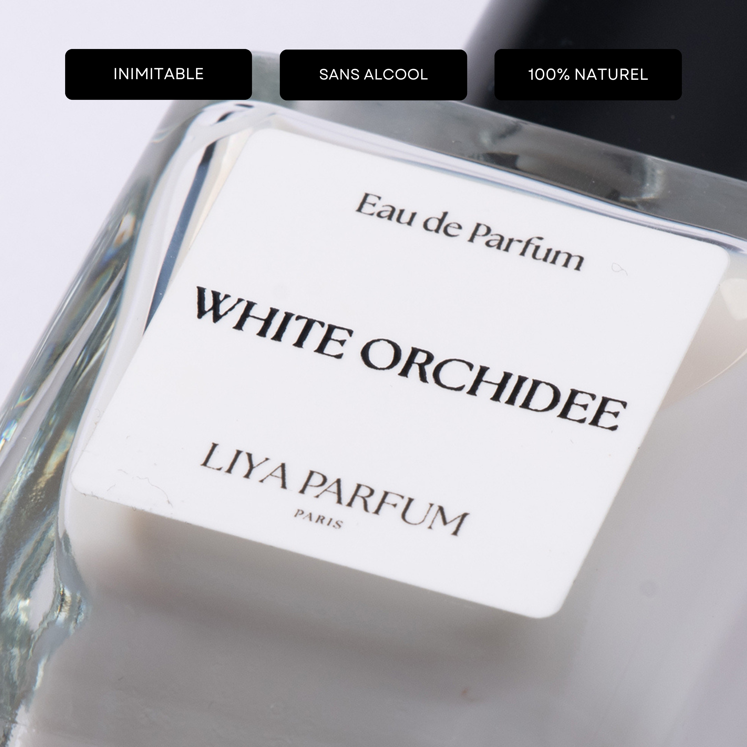 White Orchidée My Store