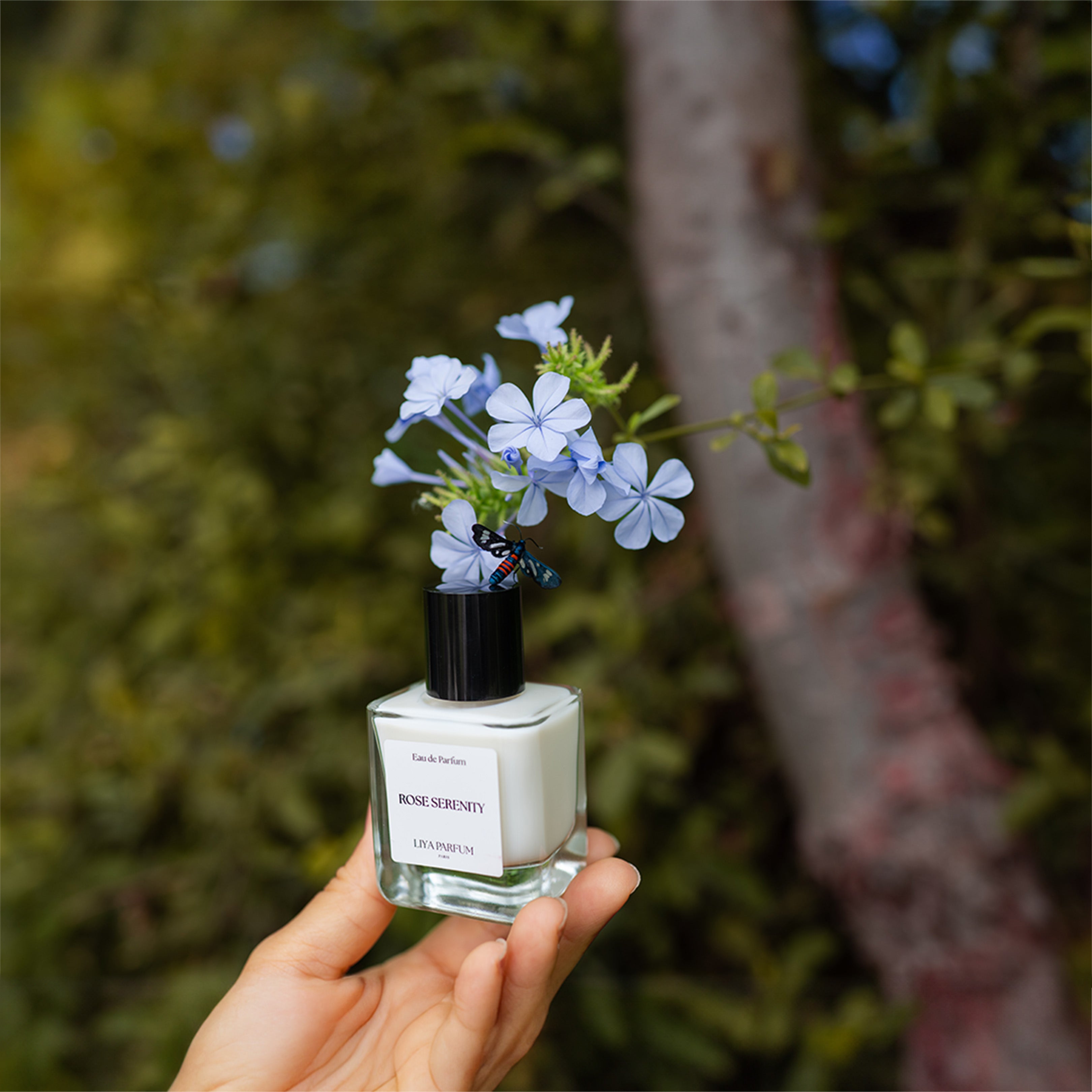 L'Essence de la Nature: Découvrez le Premier Parfum 100% Naturel