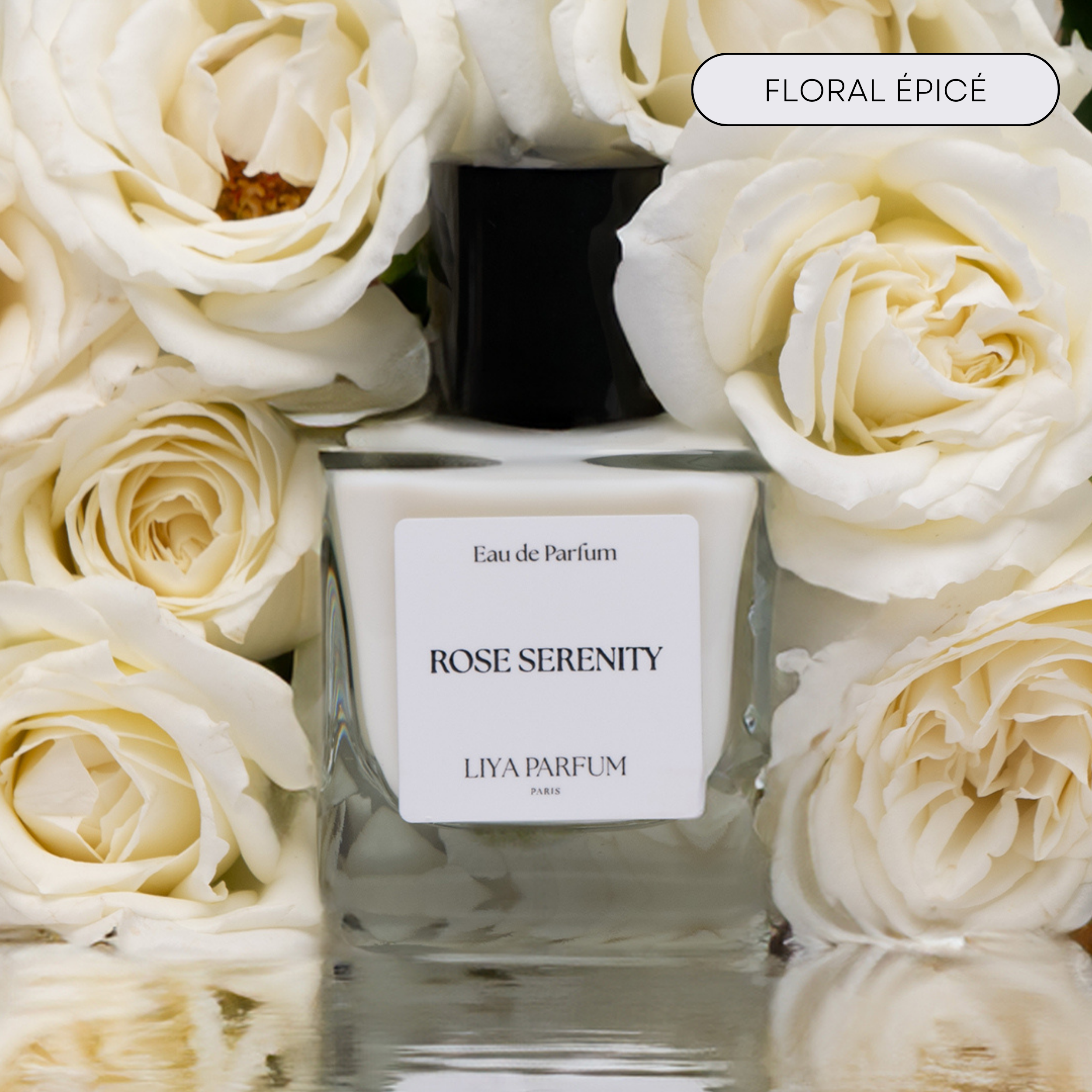 Rose Senerity My Store